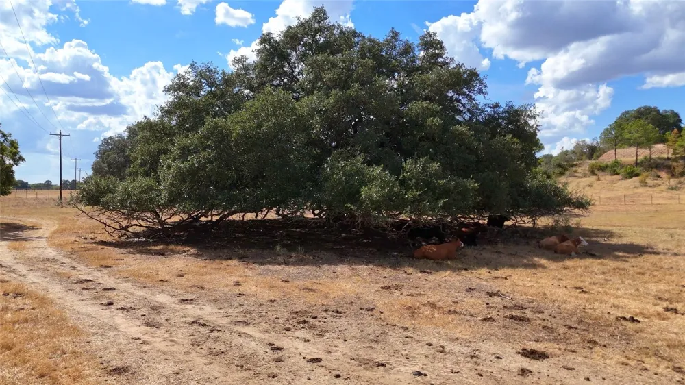 71 Highway Bastrop, TX 78057