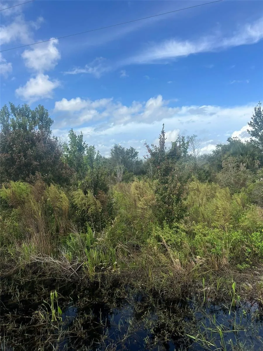 19089 NW 282ND STREET Okeechobee, FL 34972