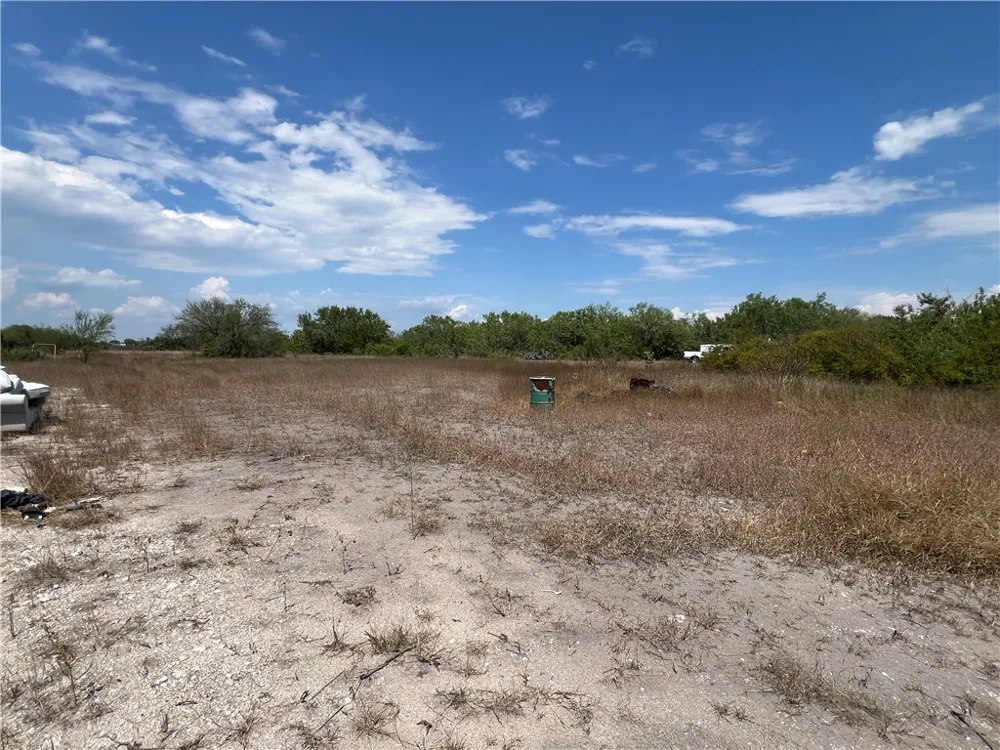 165 County Road 3061 Orange Grove, TX 78372