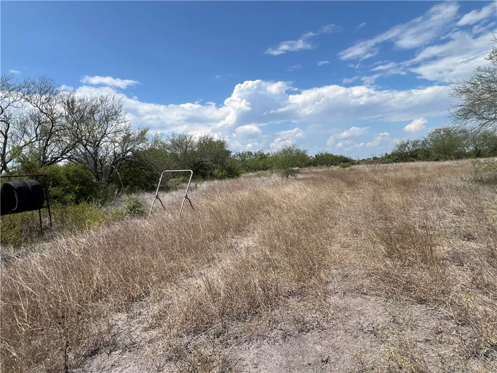 165 County Road 3061 Orange Grove, TX 78372
