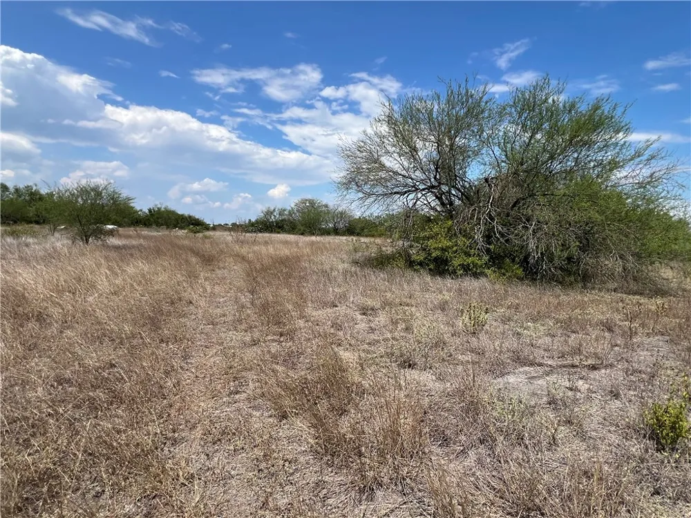 165 County Road 3061 Orange Grove, TX 78372