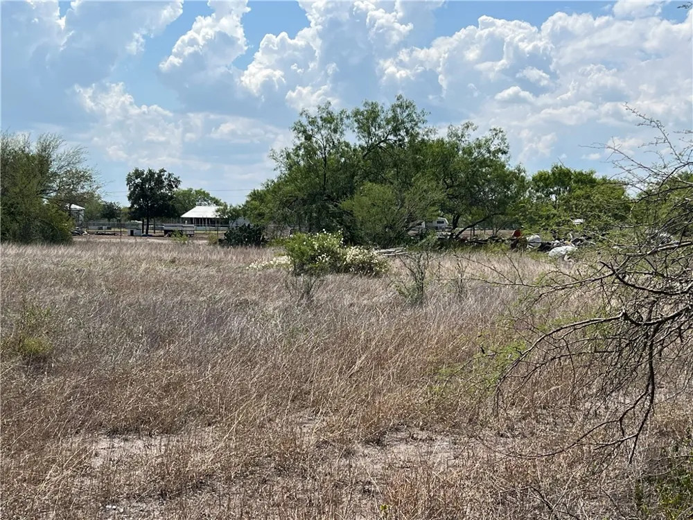 165 County Road 3061 Orange Grove, TX 78372