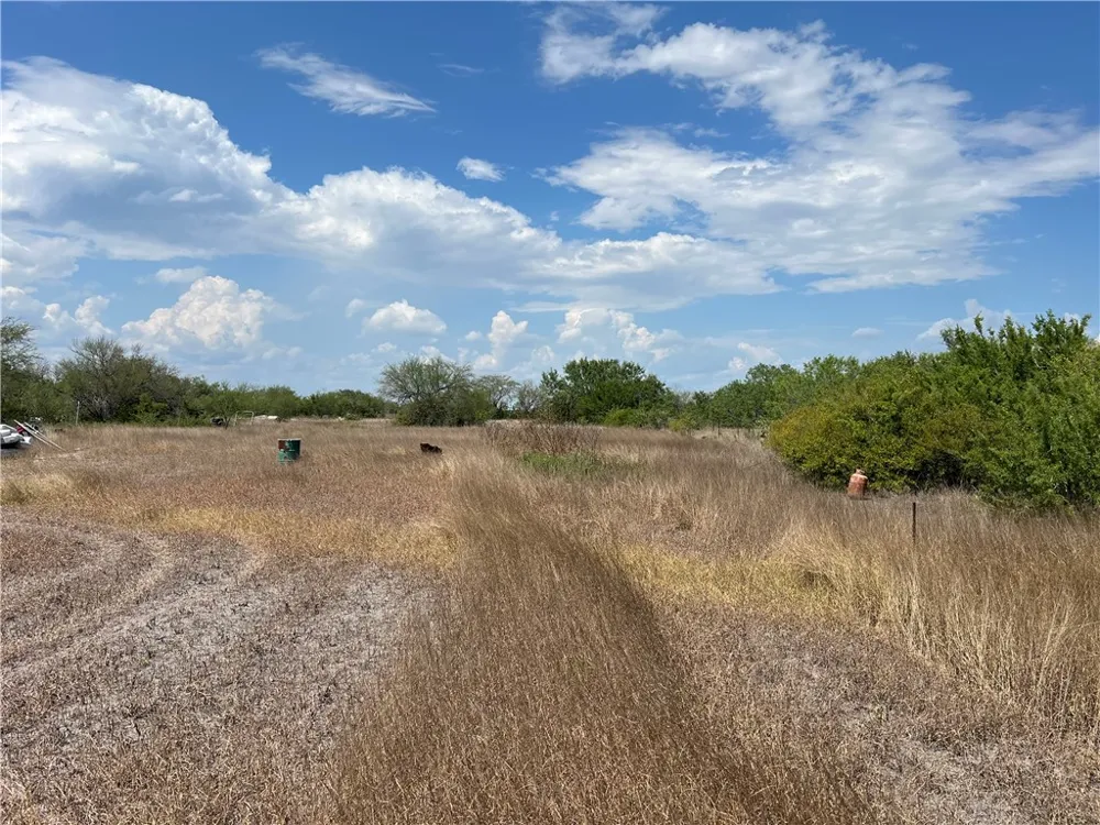 165 County Road 3061 Orange Grove, TX 78372