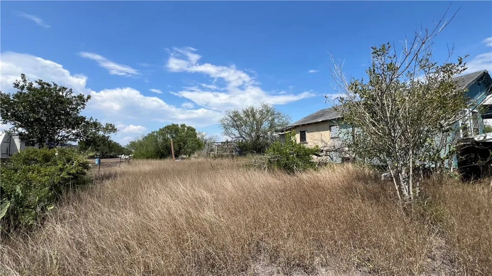 165 County Road 3061 Orange Grove, TX 78372