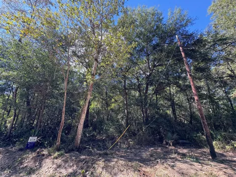 242 Mehringer Road