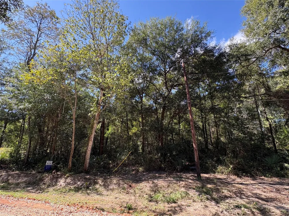 242 Mehringer Road Shepherd, TX 77371