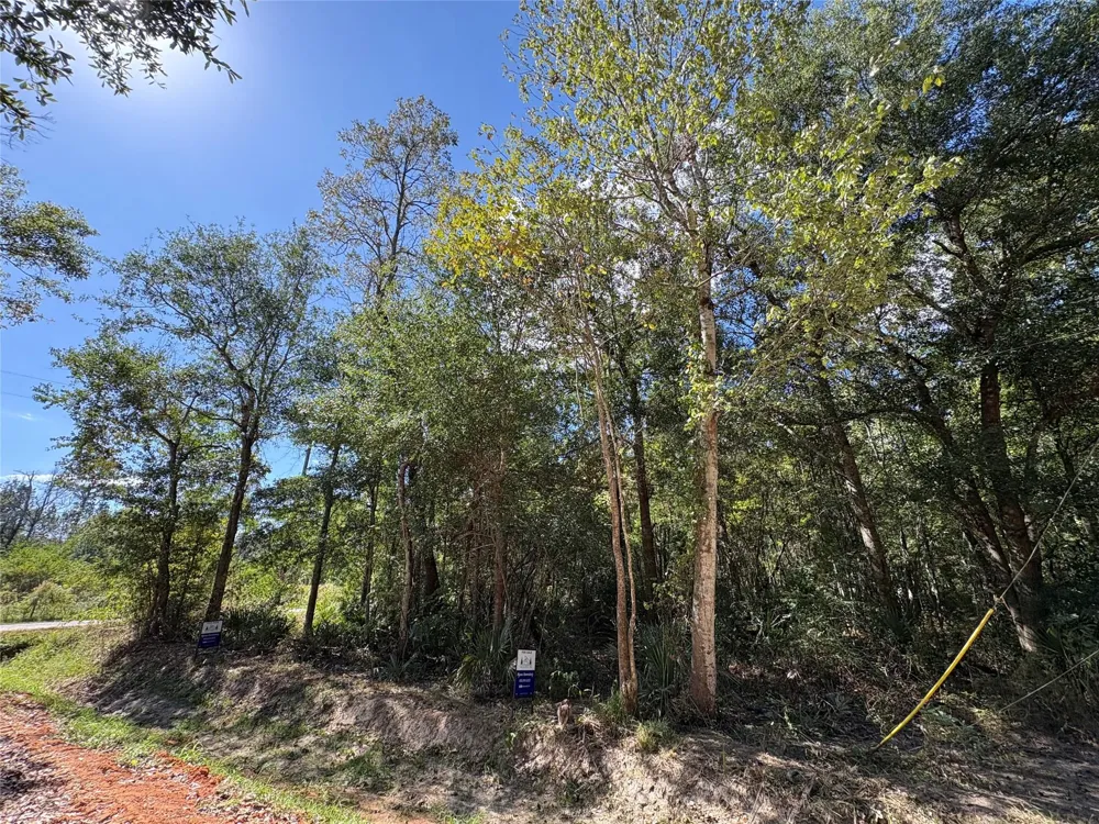 244 Mehringer Road Shepherd, TX 77371