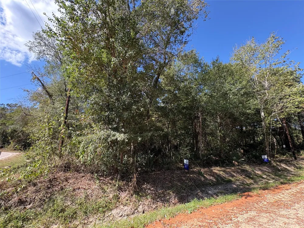 244 Mehringer Road Shepherd, TX 77371