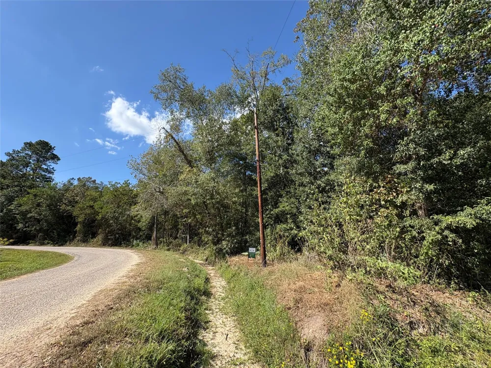 244 Mehringer Road Shepherd, TX 77371