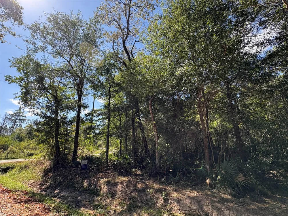 244 Mehringer Road Shepherd, TX 77371
