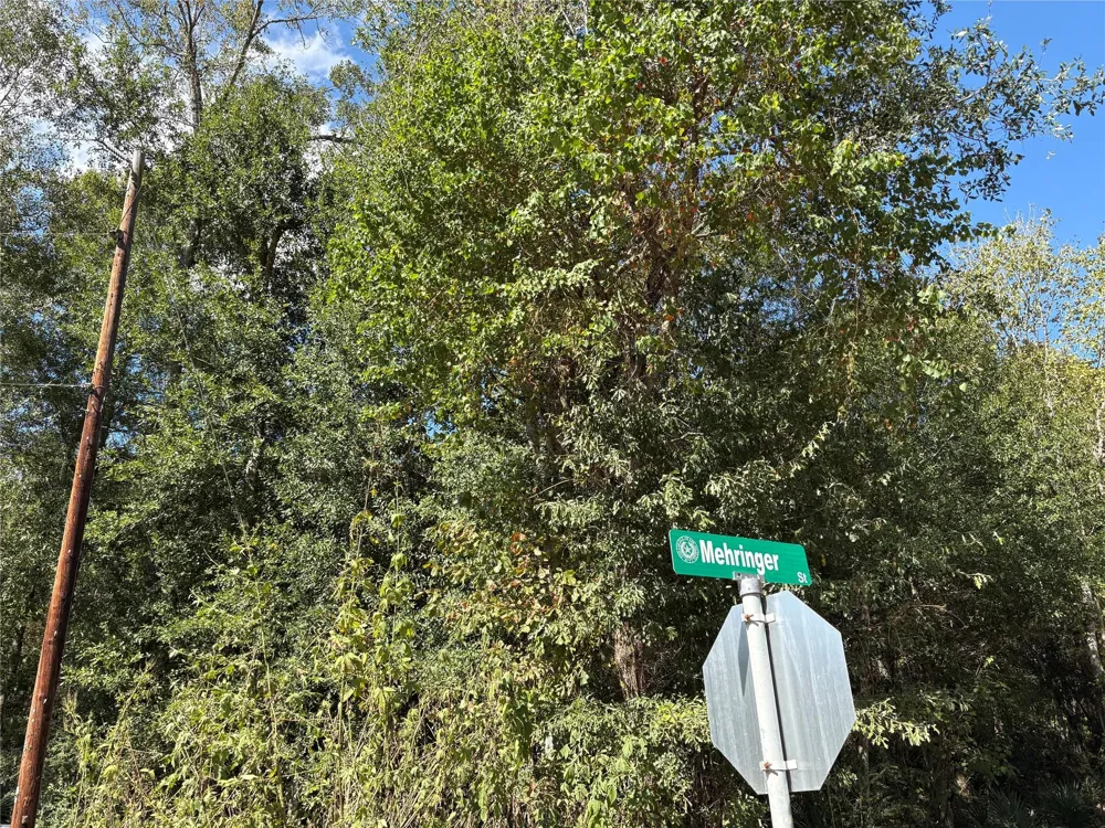 244 Mehringer Road Shepherd, TX 77371