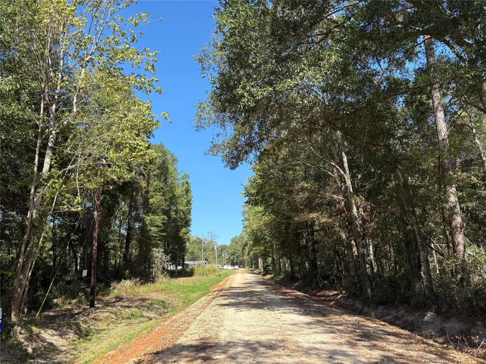 244 Mehringer Road Shepherd, TX 77371