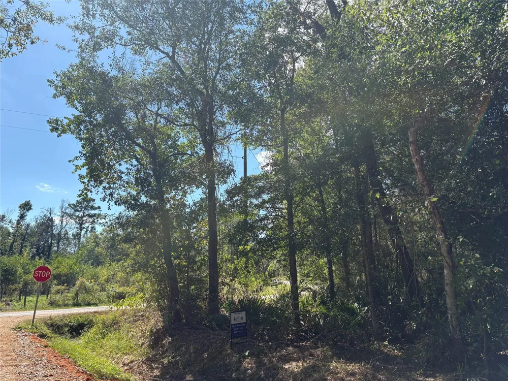 244 Mehringer Road Shepherd, TX 77371