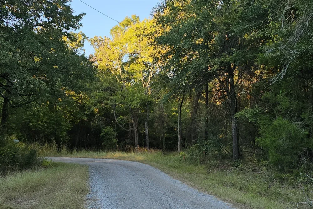 Ravenwood Drive Trinidad, TX 75163