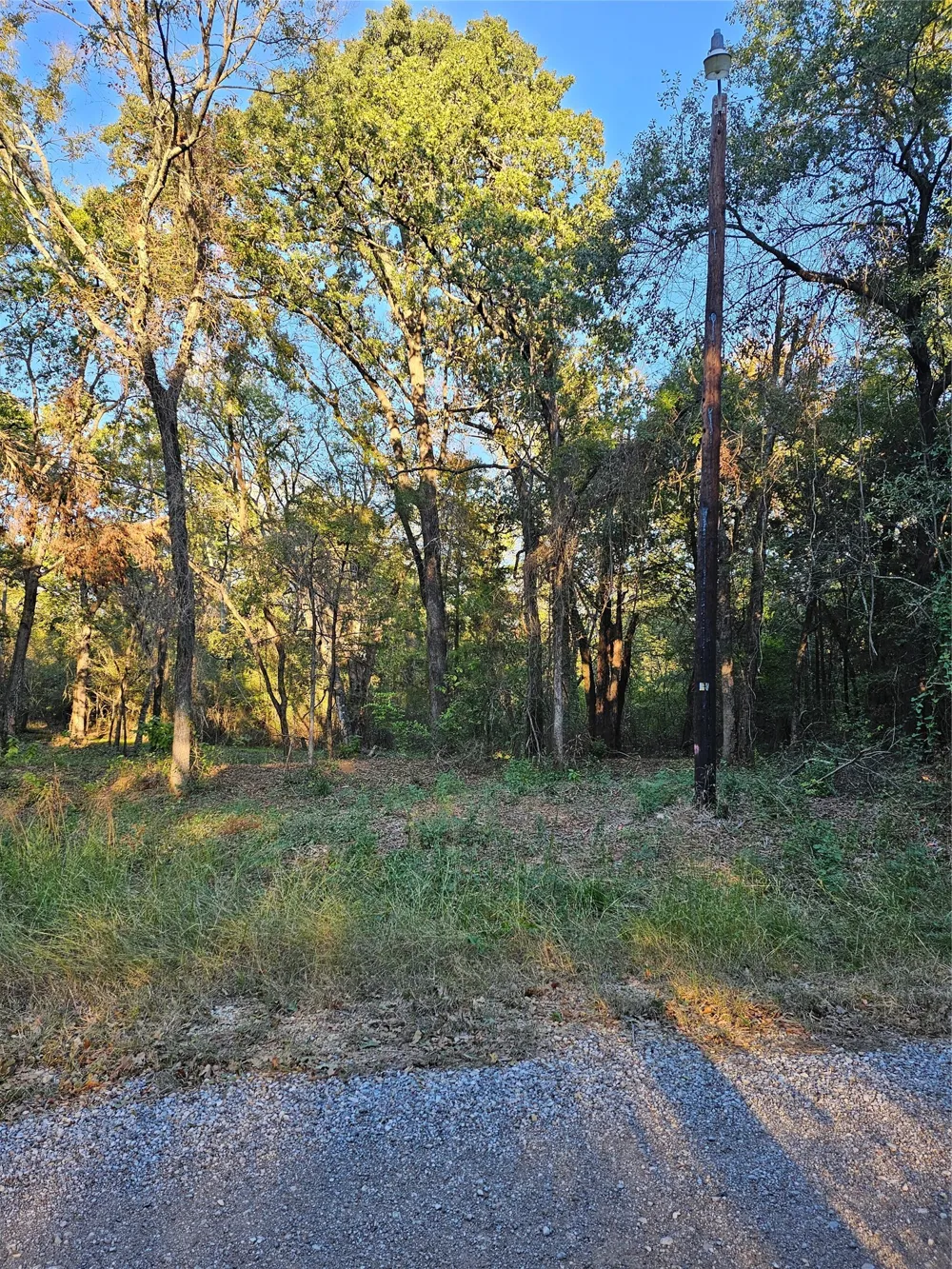 Ravenwood Drive Trinidad, TX 75163