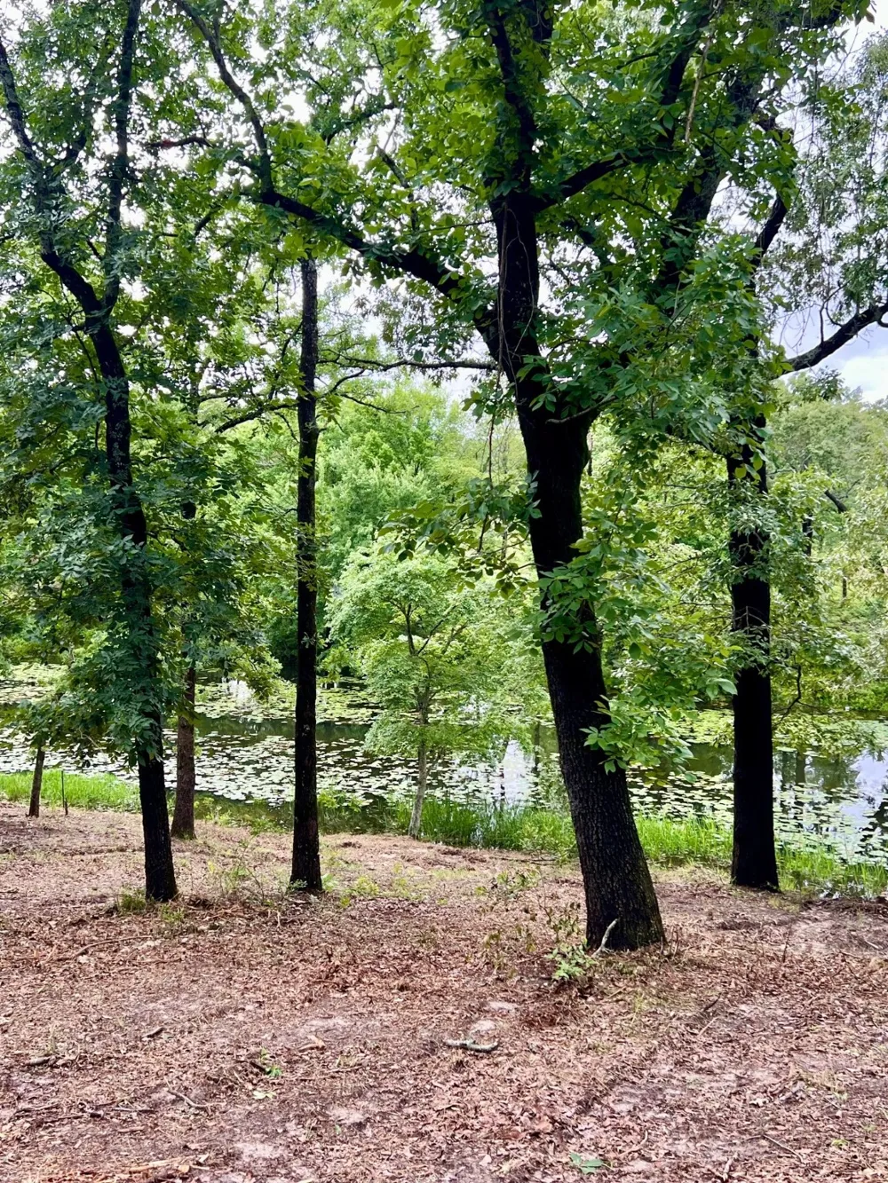 County Road 4801 Athens, TX 75752