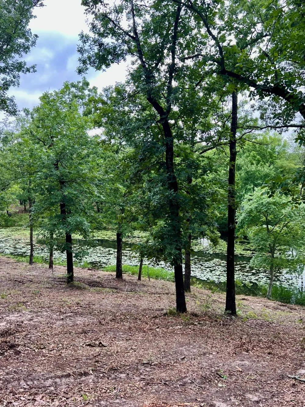 County Road 4801 Athens, TX 75752