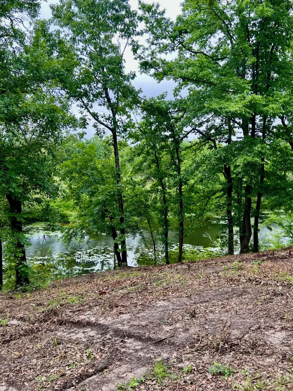 County Road 4801 Athens, TX 75752