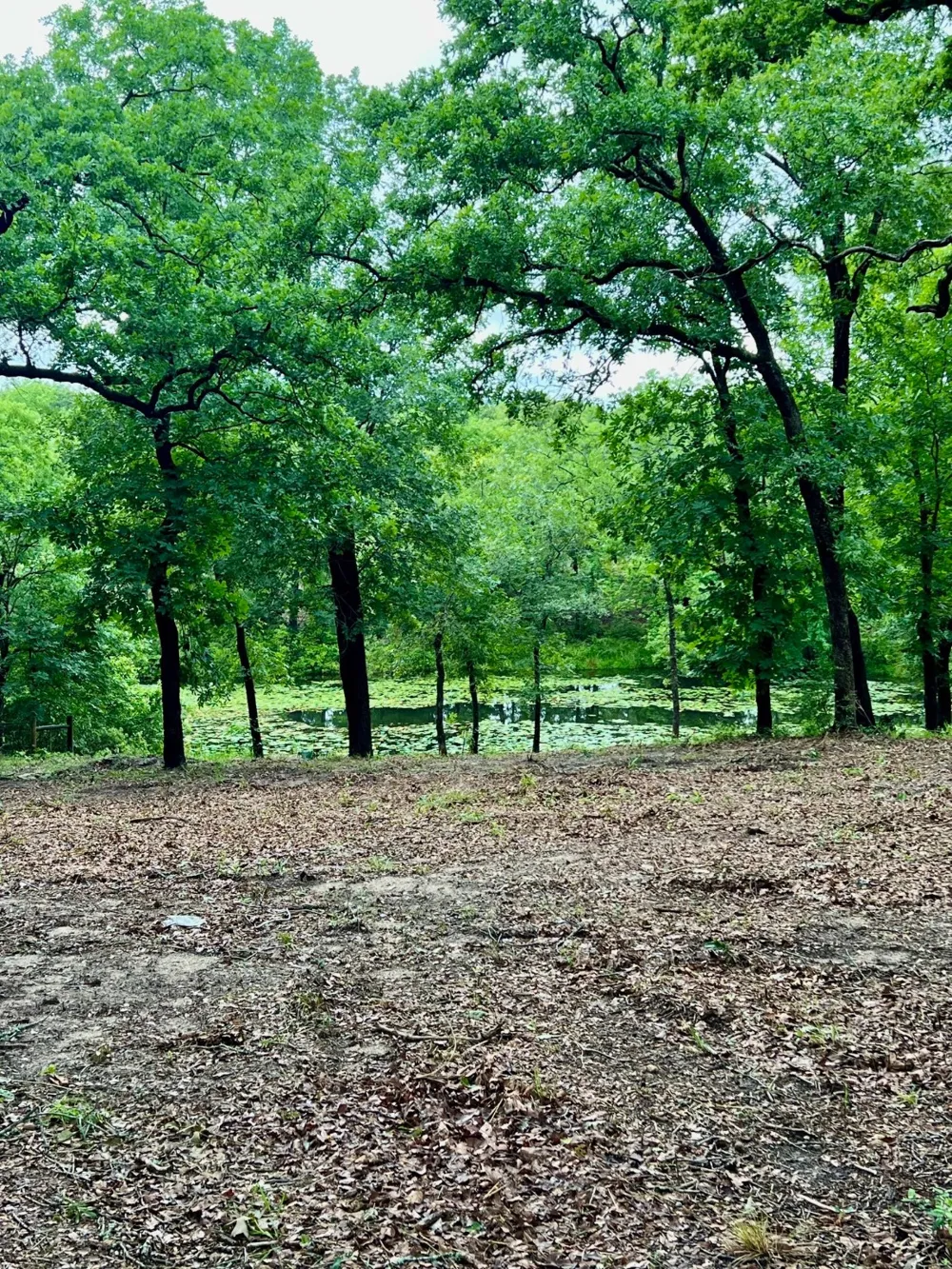 County Road 4801 Athens, TX 75752