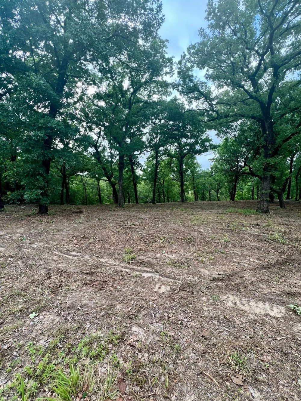 County Road 4801 Athens, TX 75752