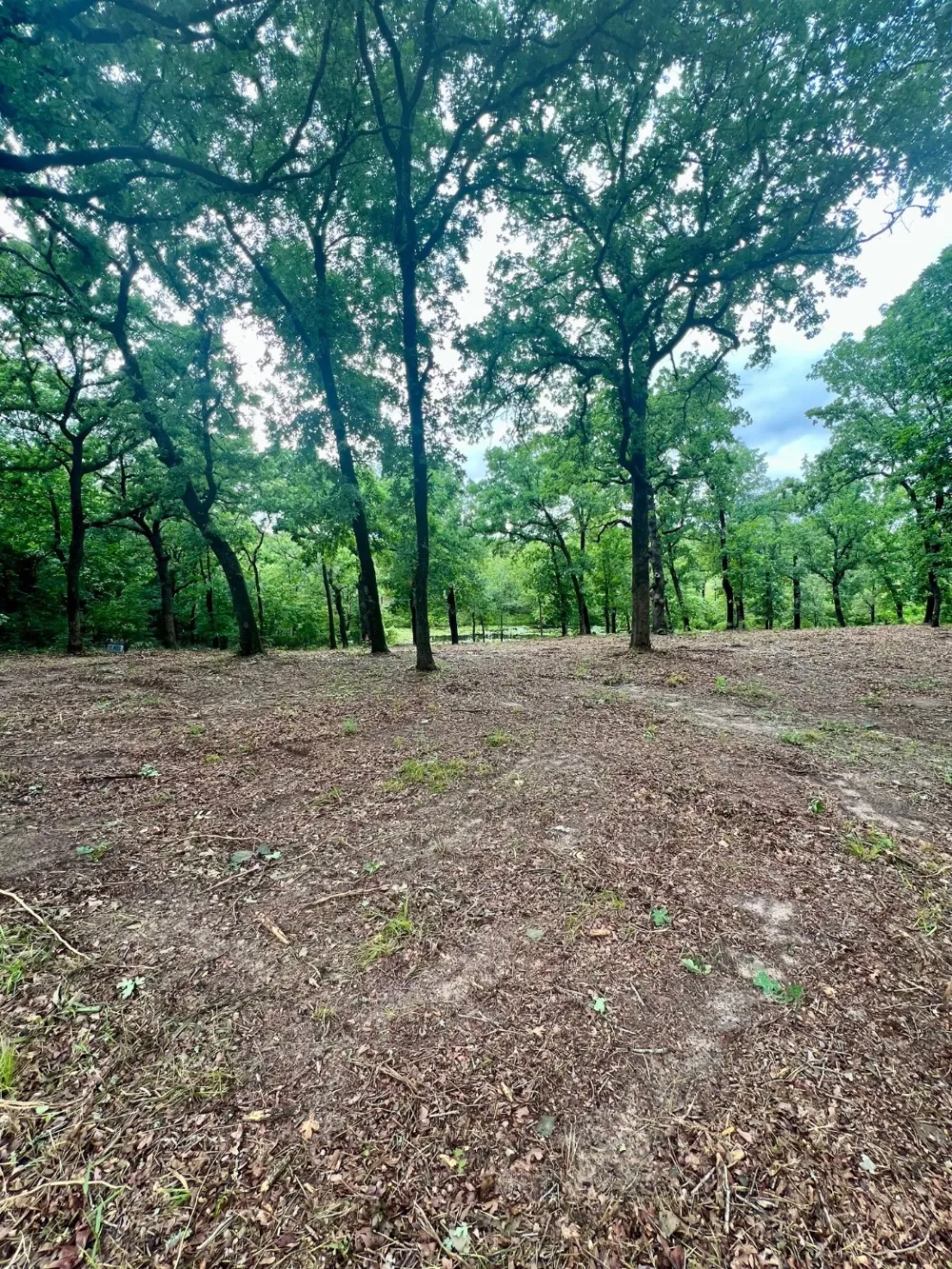 County Road 4801 Athens, TX 75752