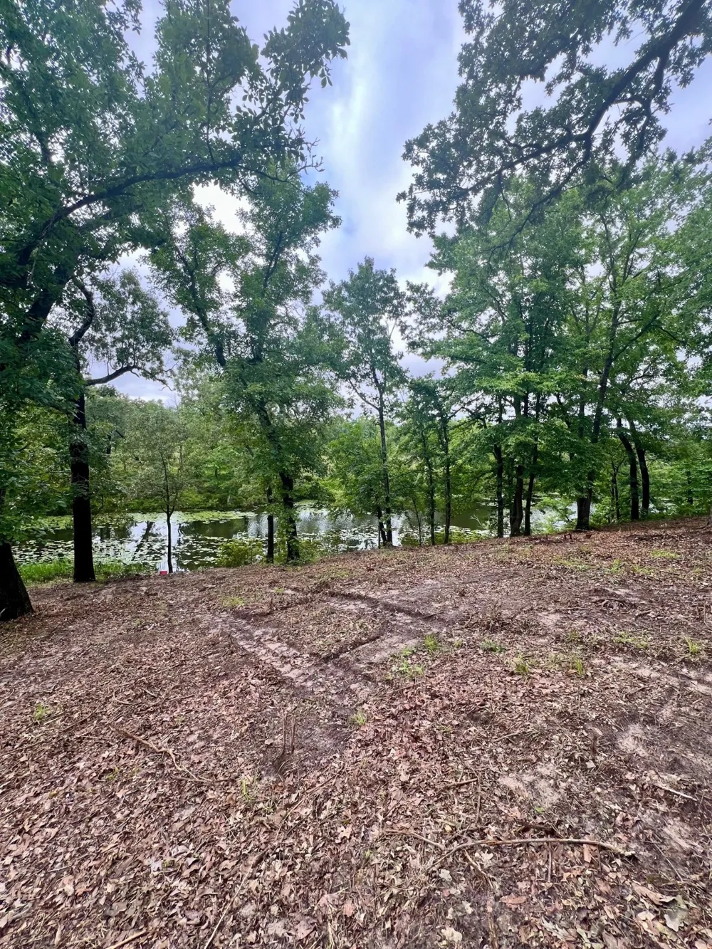 County Road 4801 Athens, TX 75752