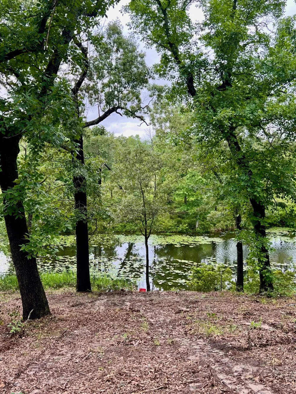 7721 County Road 4801 Athens, TX 75752