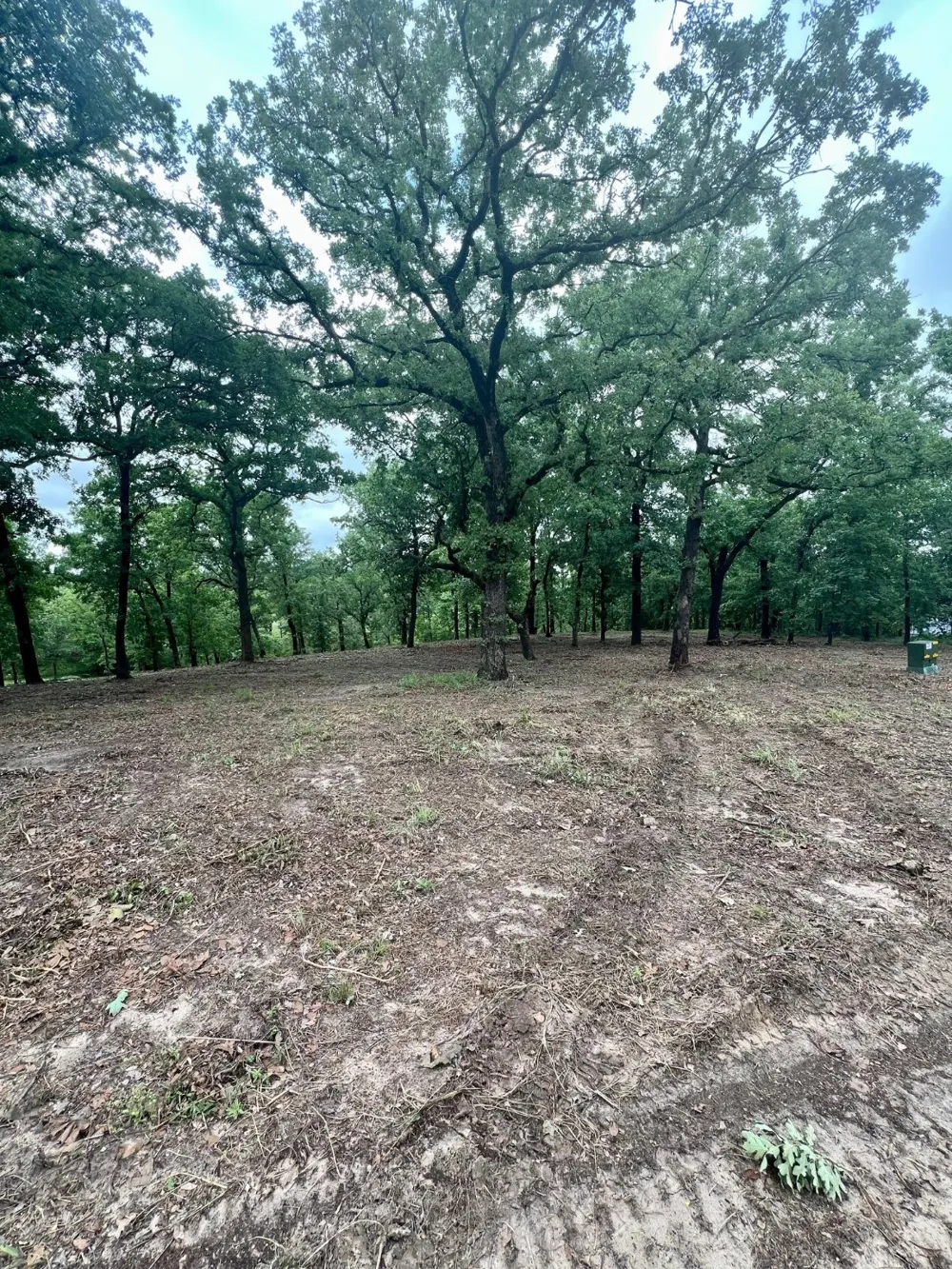 7721 County Road 4801 Athens, TX 75752