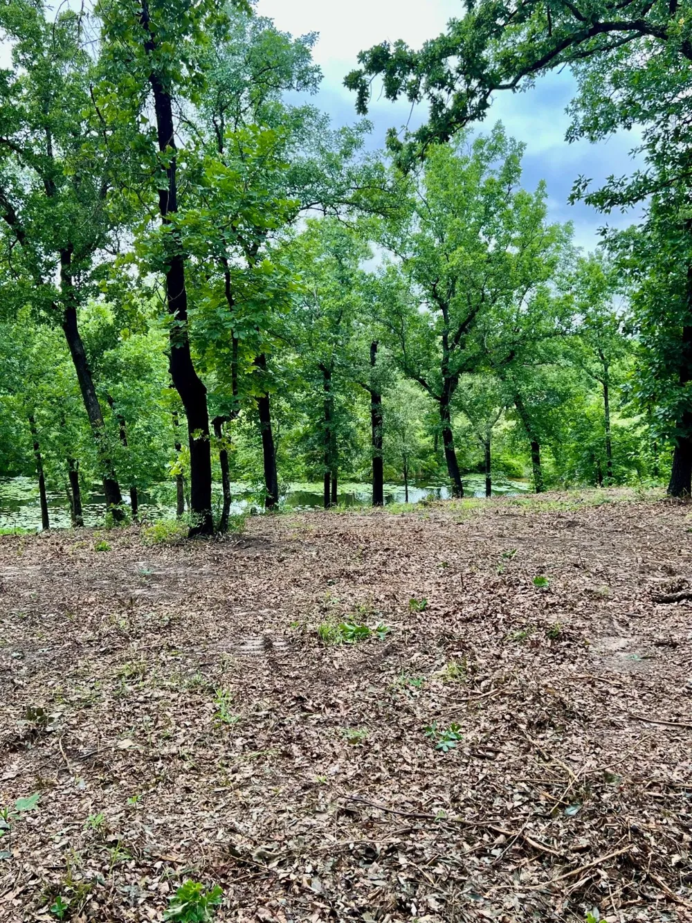 7721 County Road 4801 Athens, TX 75752