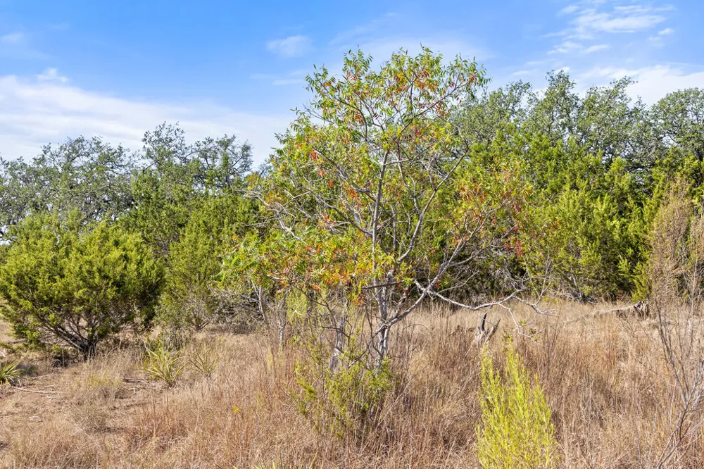 2058 Legacy Hills Drive Johnson City, TX 78636