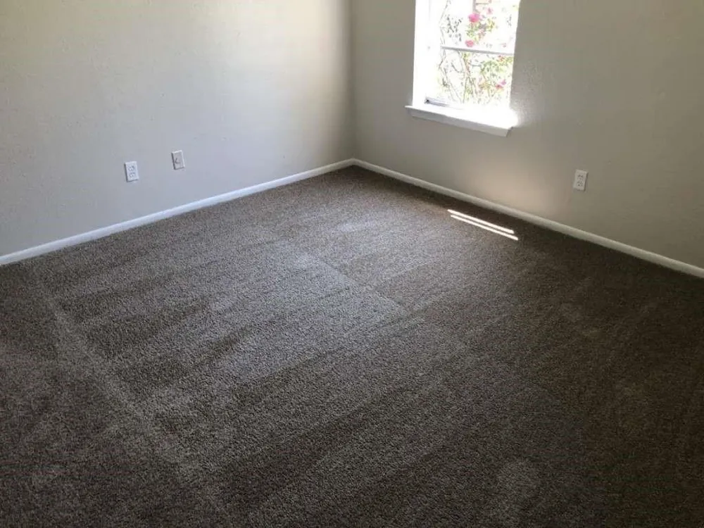 811 Buchta Road #C Angleton, TX 77515