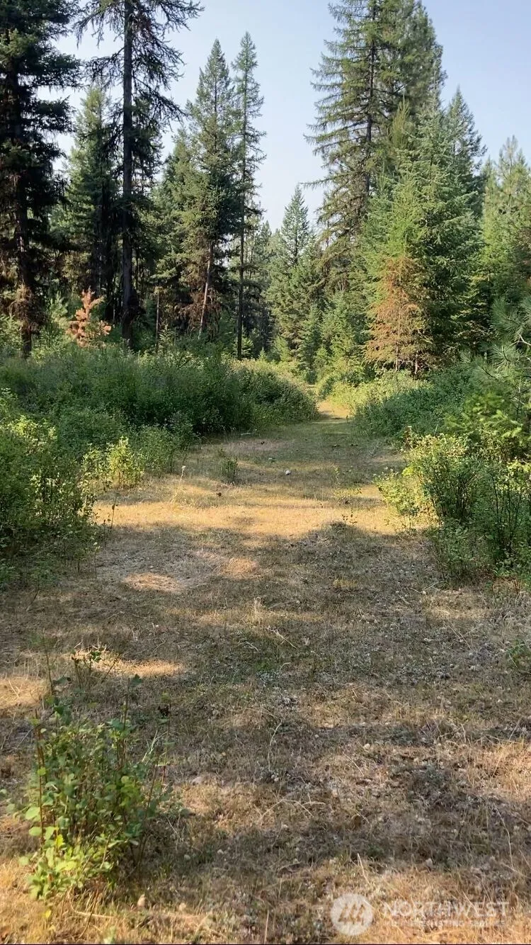 0 XXX Turner Lake Road Tonasket, WA 98855