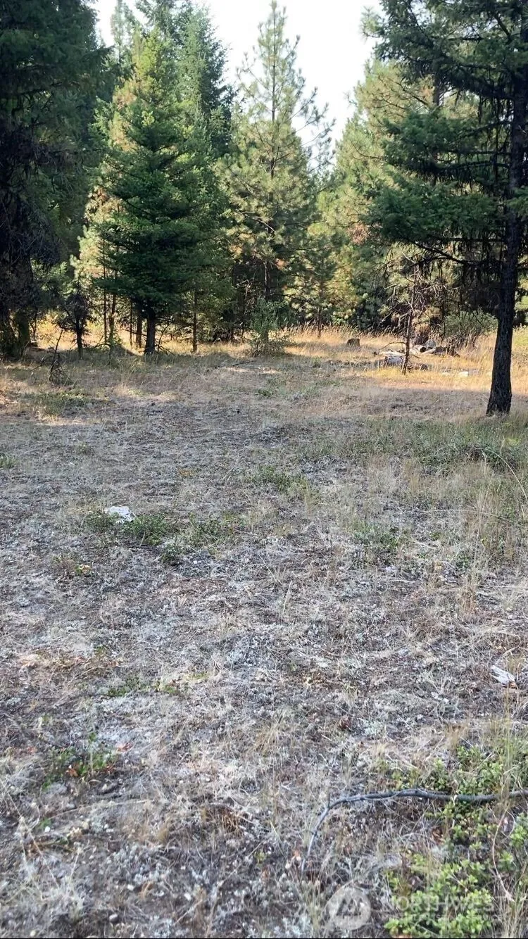 0 XXX Turner Lake Road Tonasket, WA 98855
