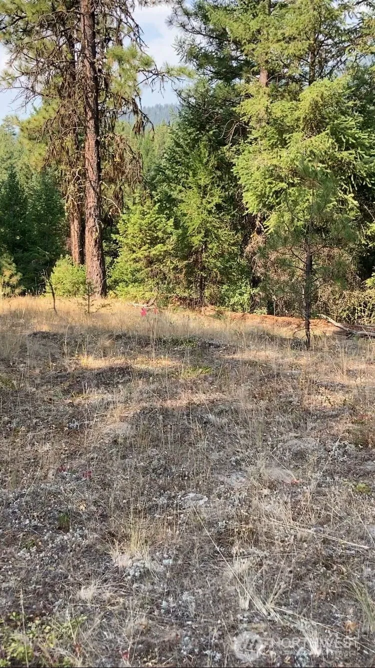 0 XXX Turner Lake Road Tonasket, WA 98855