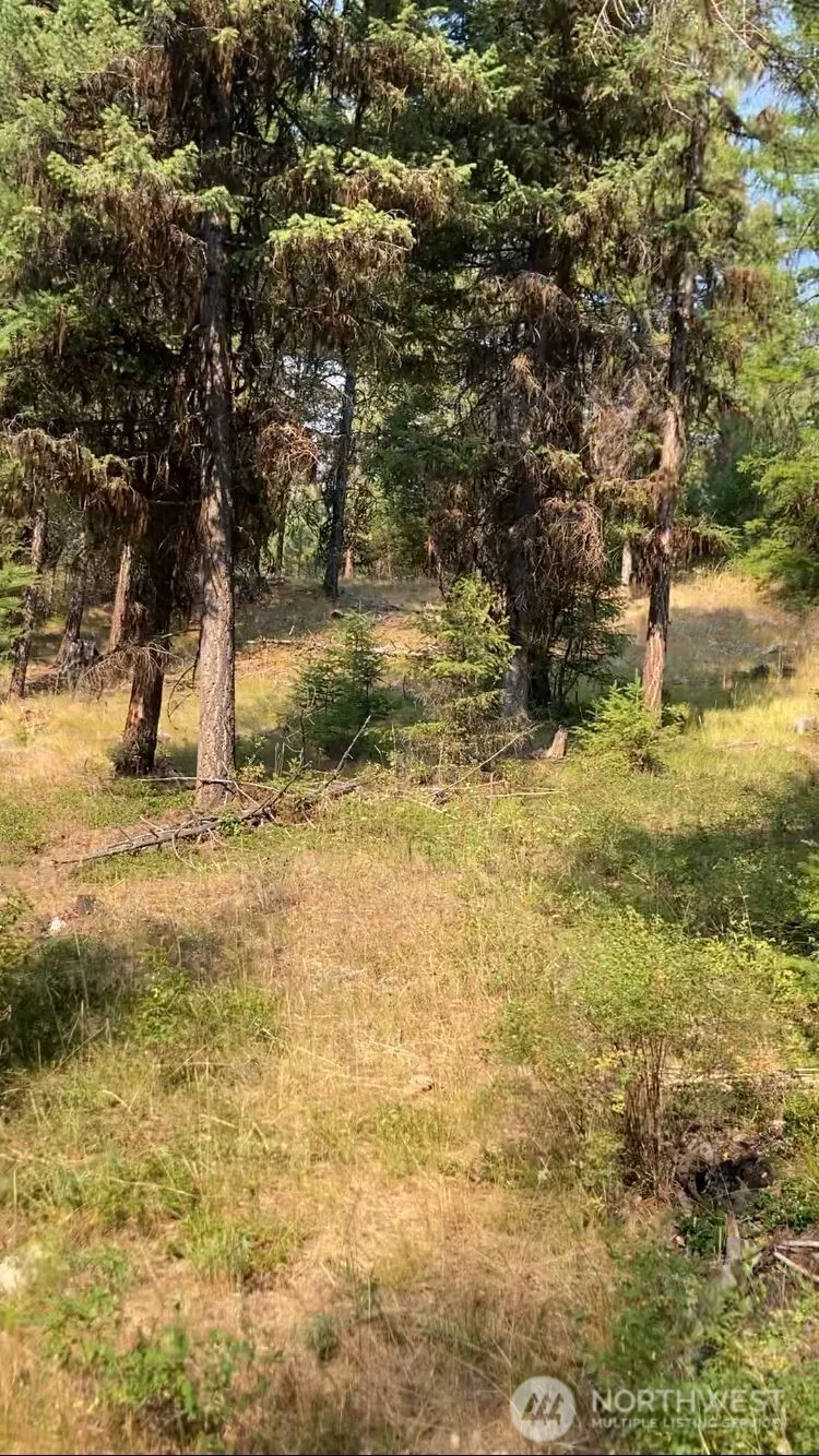 0 XXX Turner Lake Road Tonasket, WA 98855