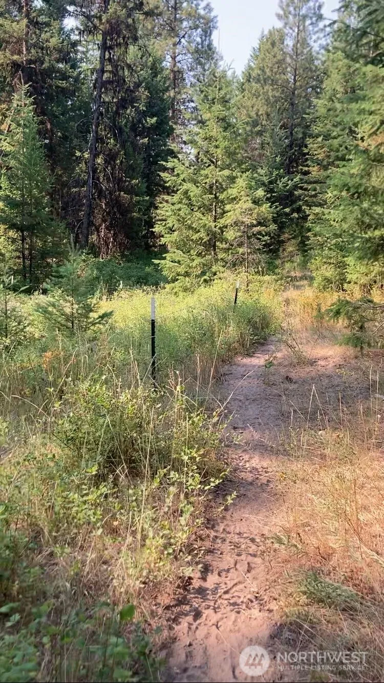 0 XXX Turner Lake Road Tonasket, WA 98855
