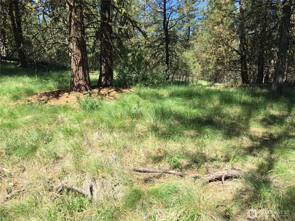 0 XXX Turner Lake Road Tonasket, WA 98855