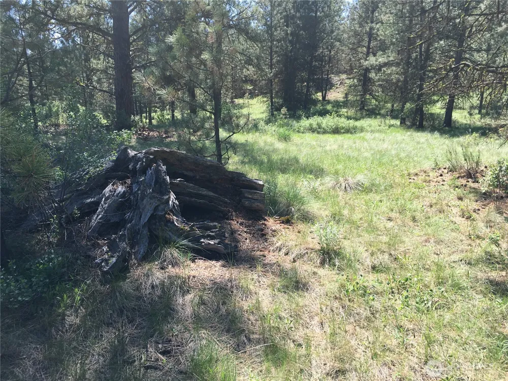 0 XXX Turner Lake Road Tonasket, WA 98855
