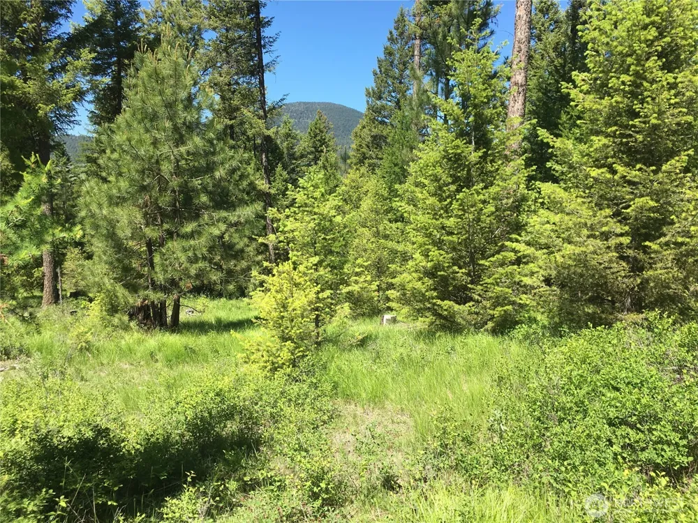 0 XXX Turner Lake Road Tonasket, WA 98855