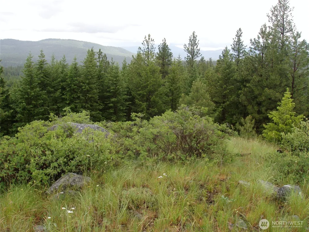 0 XXX Turner Lake Road Tonasket, WA 98855