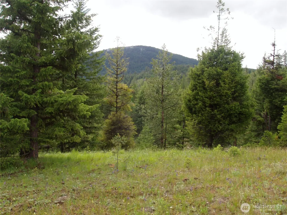 0 XXX Turner Lake Road Tonasket, WA 98855