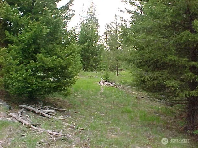 0 XXX Turner Lake Road Tonasket, WA 98855