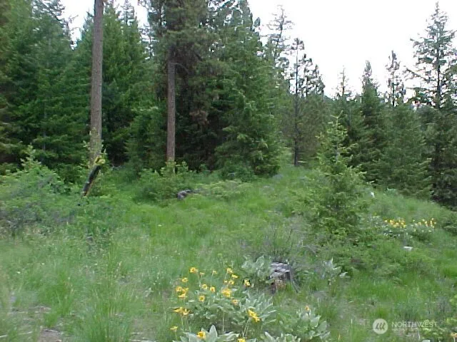 0 XXX Turner Lake Road Tonasket, WA 98855