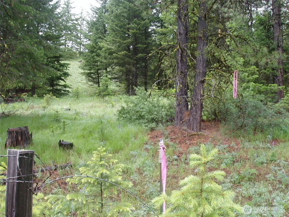 0 XXX Turner Lake Road Tonasket, WA 98855