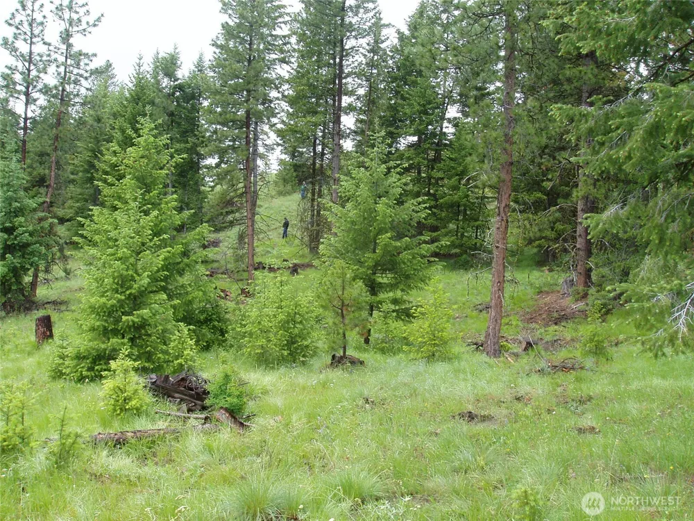 0 XXX Turner Lake Road Tonasket, WA 98855
