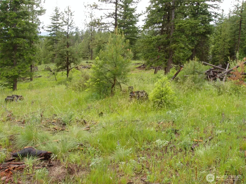 0 XXX Turner Lake Road Tonasket, WA 98855
