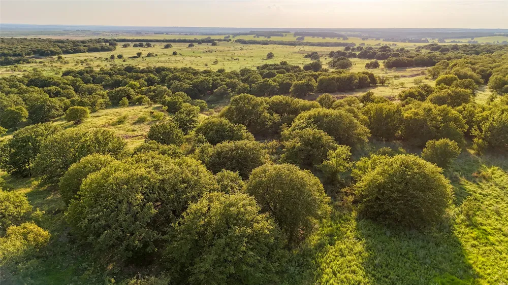 Vicars Road Bellevue, TX 76228
