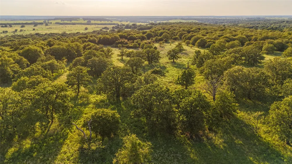 Vicars Road Bellevue, TX 76228