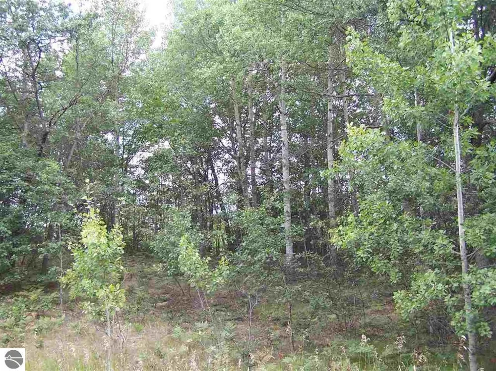 Circle E Surrey Township, MI 48622