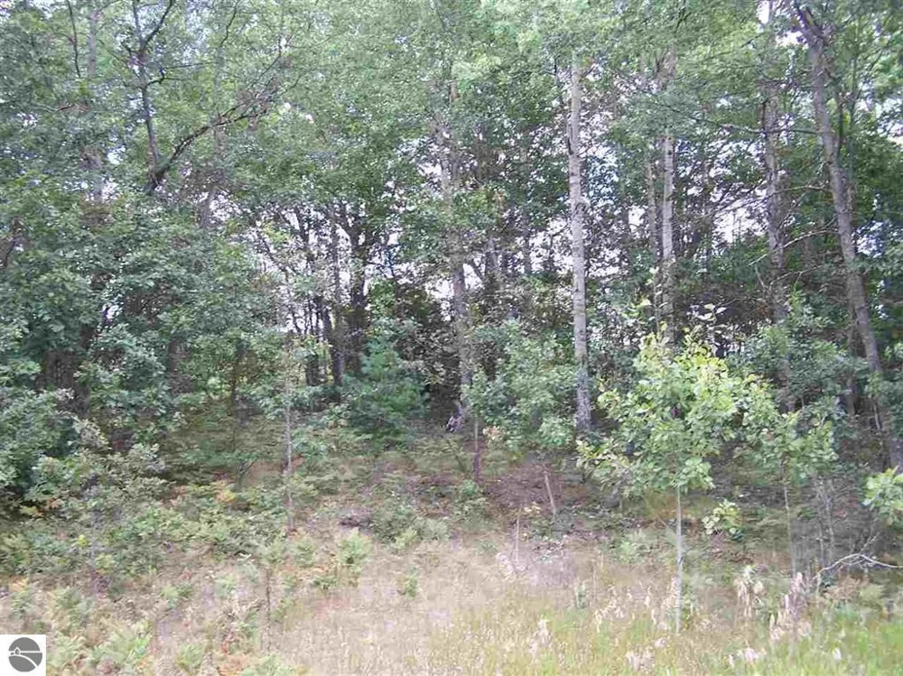 Circle E Surrey Township, MI 48622